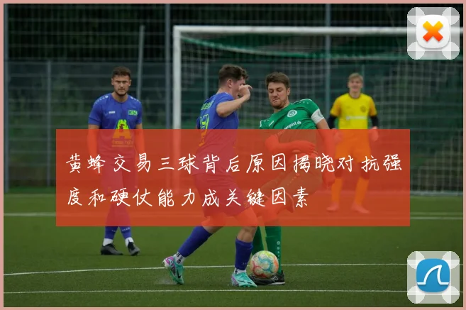 黄蜂交易三球背后原因揭晓对抗强度和硬仗能力成关键因素