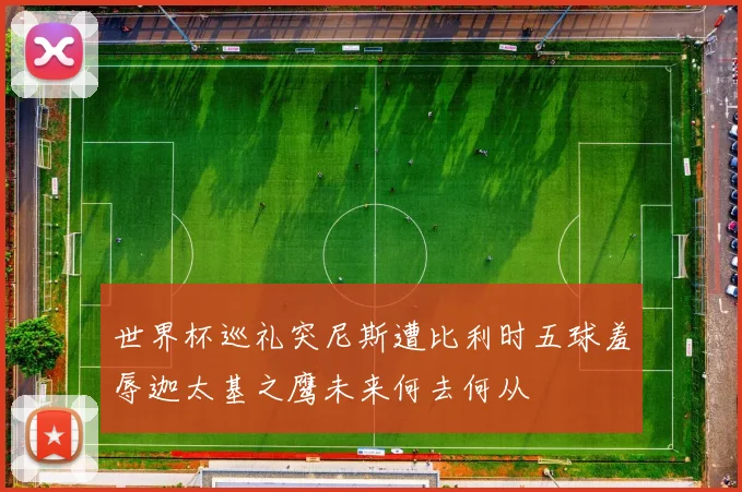 世界杯巡礼突尼斯遭比利时五球羞辱迦太基之鹰未来何去何从